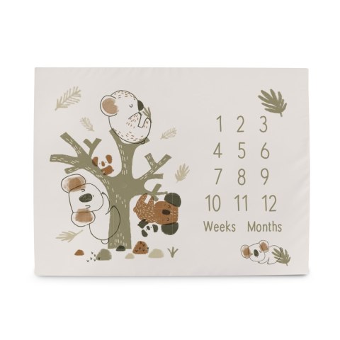 CEBA 309-000-729 Foto mata 92x72 Basic Koala* CEBA 309-000-729 Foto mata 92x72 Basic Koala*