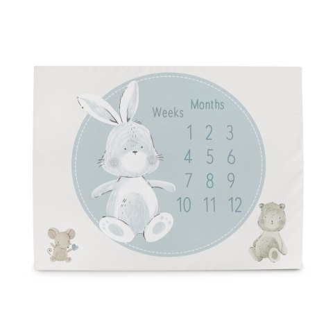CEBA 309-000-730 Foto mata 92x72 Basic Friends* CEBA 309-000-730 Foto mata 92x72 Basic Friends*