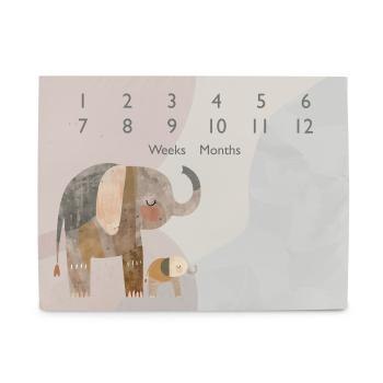 CEBA 309-000-781 Foto mata 92x72 Basic Elephant Family CEBA 309-000-781 Foto mata 92x72 Basic Elephant Family
