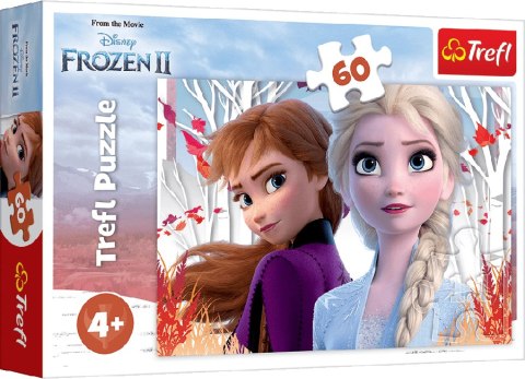 TREFL 17333 Puzzle 60 el. Zaczarowany świat Anny i Elsy TREFL 17333 Puzzle 60 el. Zaczarowany świat Anny i Elsy