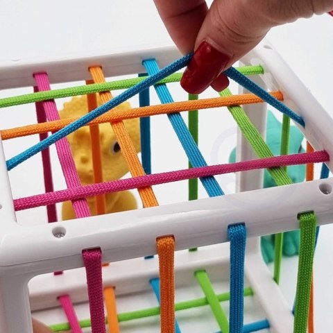 WOOPIE 44329 Elastyczna kostka sensoryczna Sorter Dino 6 el. WOOPIE 44329 Elastyczna kostka sensoryczna Sorter Dino 6 el.