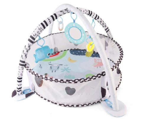 MILLY MALLY 6099 TinyMini JL626-2D Mata edukacyjna 2w1 Basen z piłkami MILLY MALLY 6099 TinyMini JL626-2D Mata edukacyjna 2w1 Basen z piłkami