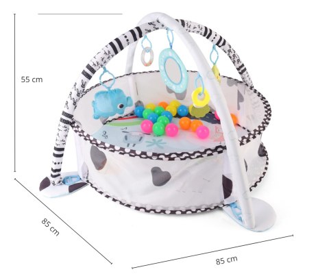 MILLY MALLY 6099 TinyMini JL626-2D Mata edukacyjna 2w1 Basen z piłkami MILLY MALLY 6099 TinyMini JL626-2D Mata edukacyjna 2w1 Basen z piłkami
